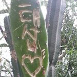 진짜 관광지에서 이러지들 맙<b>시다</b>!!!