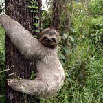 알아도 크게 도움 안되는 진실 -_-;; 5