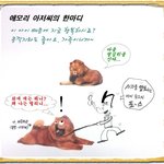 애<b>모리</b> 아저씨(콩깍지)