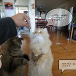 <b>간식</b>에 정줄을 놓은 아이들