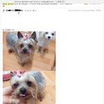 미아리 위치한 km대학교에 어장관리녀는 봐라!