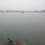 <b>쌀쌀</b>하네...