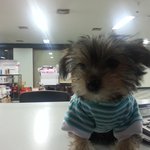 진상녀 청이! 그녀를 도와주세요~