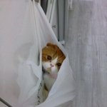 <b>울집</b> 애기에욤 ~ ㅎㅎ
