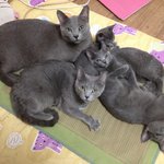 집에 가는 길~~