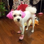 행복을 알려준 우리 <b>희망</b>이*^^*