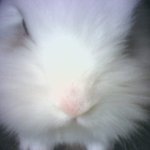 내<b>재산목록</b> 2