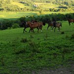 젊음의 <b>나날</b>들