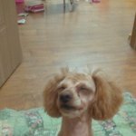 울 <b>미란</b>이에요~^^
