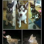 6개월만에찾은아이들 숨겨진 진실 꼭한번봐주세요.