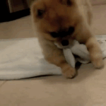 나 추워_<b>gif</b>