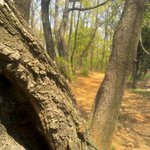 [쿨한백혈병] 쿨한 백혈병환자의 추모