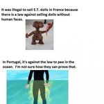 (쪼금 19금이 있는) 세상의 이상한 법들 ㅋㅋ.jpg