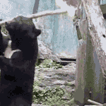 라바의 무서운 이야기53