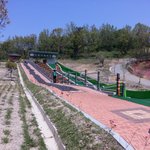 잘생긴 백구 ㅋ 진도개 페스<b>티</b><b>발</b> 갔다옴