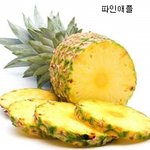 다양하고 신기한 열대과일 <b>종류</b>