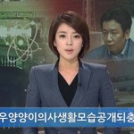 <b>양양</b>이의 패러디놀이