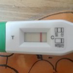 이거임신맞아요 ??