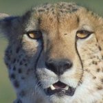 먹거리x파일방영 "착한식당" 탐방기(list추가!!!!)