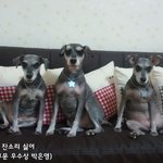 애<b>모리</b> 공모전 수상작 감상