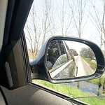 8 탄!!!  쑥쑥크는 랩트리버 디노가 돌아왔습니다 (초스압주의...