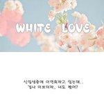 <b>오</b><b>글</b>주의_ 흔한팬이 만든 팬툰