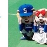 야녀의 야구장 응원팁