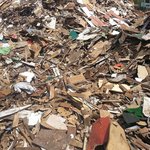 [ 긴급 ] 좀봐주세요 ㅠㅠㅠㅠㅠ 아깽이가