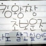 재치 넘치는 초보운전 <b>문구</b> 모음