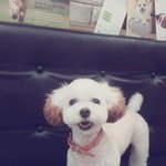 귀요미뭉치