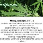 (  상식 ) 마약의 <b>종류</b>라네요