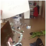 혼자만 두고 나가서 빡친 일베인