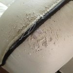 고양이가 훼손 시킨 쇼파, 어떻게 배상 받아야 할까요?