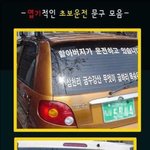 초보운전자 <b>문구</b>의 좋은 예??