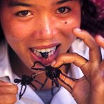 [혐오] 세계에서 가장 혐오스러운 음식 <b>best</b> 12