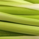 200칼로리 음식들 모음