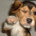 드라마에 이런 거 꼭있다! 개인의 취향, 호킨스, 보고싶다 커플...