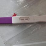 <b>아기집</b>