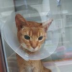 저 한번만 봐주실래요?