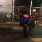 <b>버정</b>에서 담배꼬나무는 분들