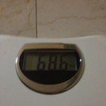 (165/68.6) 다이어트 시작해요!  조언 부탁드려요   **사진부담주의**...