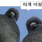 서른에 살아 <b>생전</b> 처음 해보는 알바 체험기.