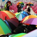 비오는날 학교 흔한<b>우산</b>