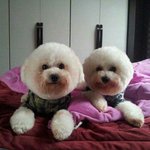 이쁜 요녀석들 때문에 <b>살아요</b>