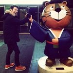 빈지노 진짜 실물 <b>bb</b>