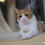 유봉이의 유별난 자세(유봉이네판)