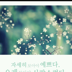 어지러우면  꽃