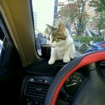 초<b>미묘</b>!!  보러오세요~~