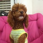 (수정)제발 이거 베톡에 올라오게좀 해주세요..!!