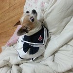 <b>새침</b>떼기 그녀~